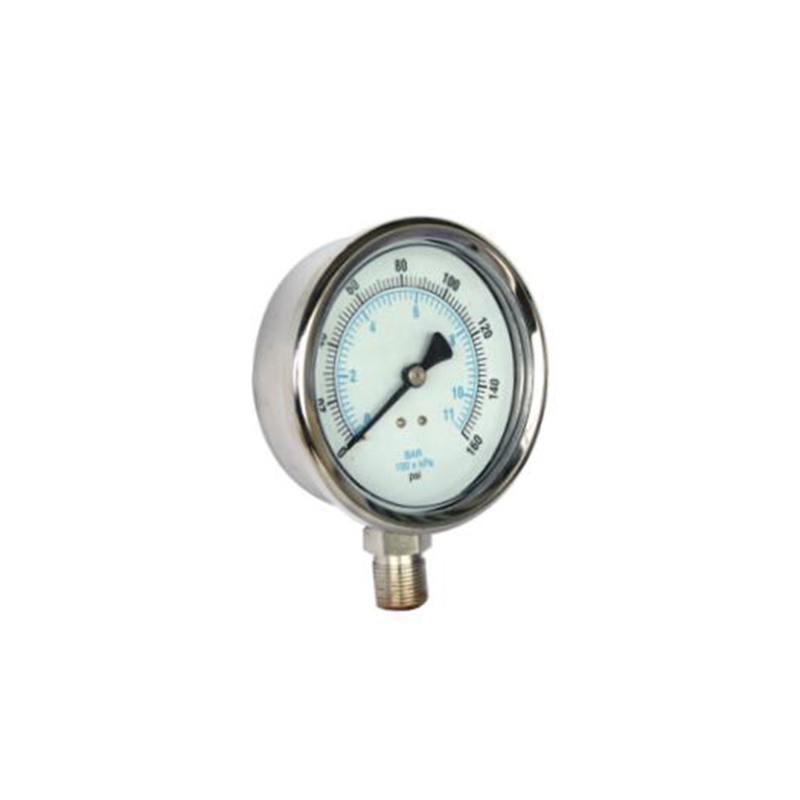 YBF60 Pressure gauge